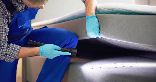 Best Mosquito Control Services  in Garrettsville, OH