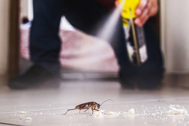 Garrettsville, OH Pest Control Company